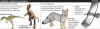 Especies aut�ctonas en Talampaya