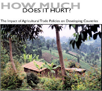 The impact of the agricultural trade policies on developing countries