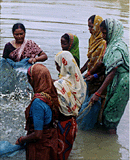 Women in aquaculture