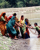 Women with fish harvest