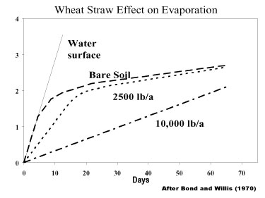 Wheat straw effect on evaporation graph